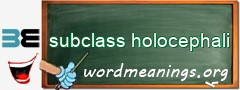 WordMeaning blackboard for subclass holocephali